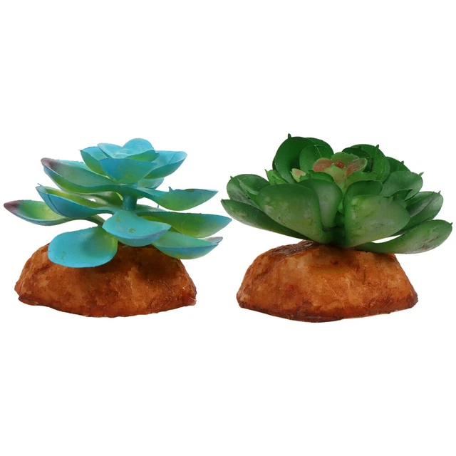 2 Pcs Fake Succulent Plants Plants Ornament Reptile Tank Plants Pets Decorate