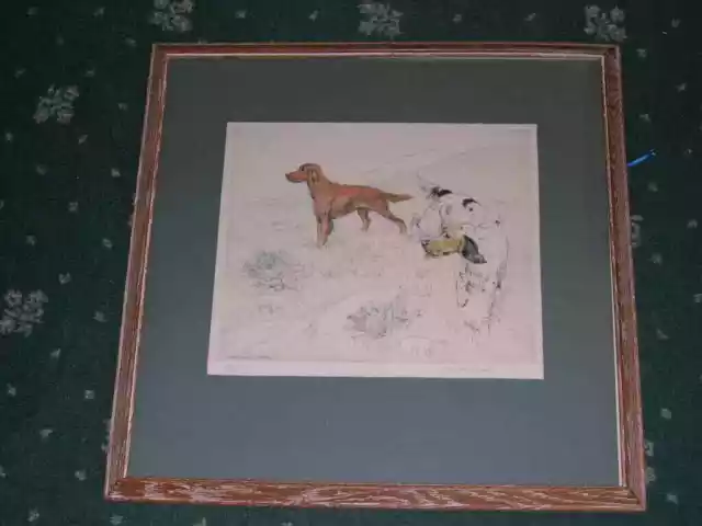 Antique Irish & English Setter Dog Signed Ltd Drypoint Etching G.v. Stokes 1930