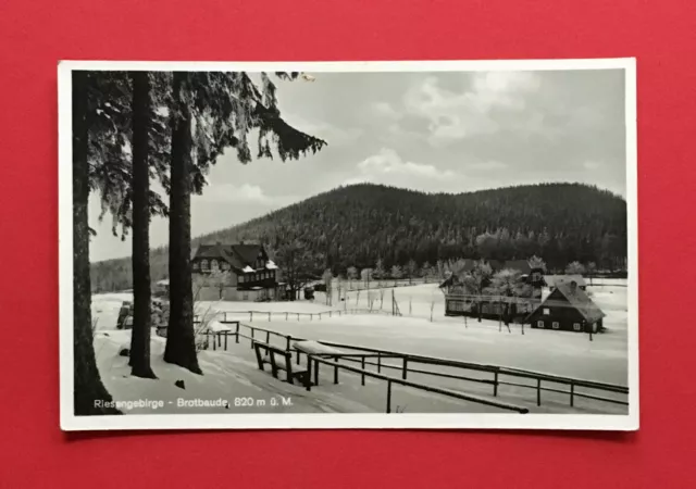 Foto AK Riesengebirge 1934 Winteransicht mit Brotbaude     ( 51676