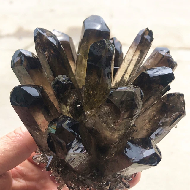 1.33lb New Find Black Phantom Quartz Crystal Cluster Mineral Specimen Healing 4