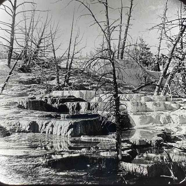 Magic Lantern Glass Slide Photo Keystone Angel Terrace Yellowstone National Park