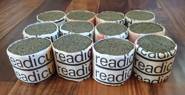Lote de 12 ROLLOS DE HILO DE LANA READICUT Sombra 95 Lite Verde Oliva Alfombra PESTILLO GANCHO INGLANDIA