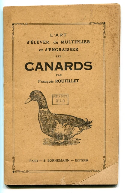 Colombier. Multiplication Des Pigeons. Pigeons Dans La Cour. Photo
