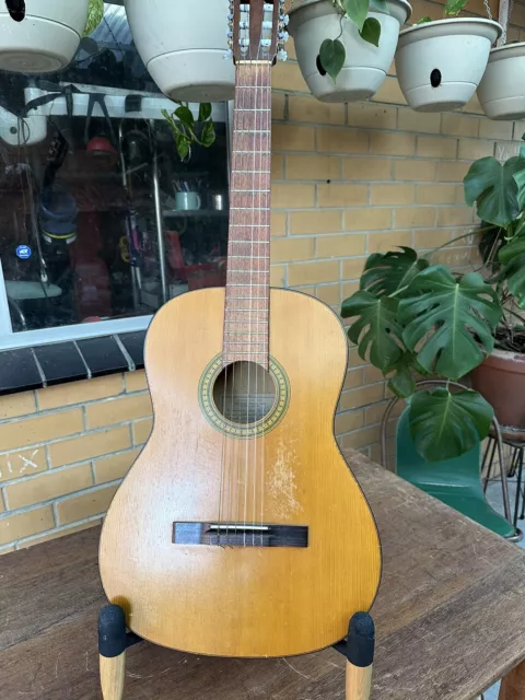 maton 1972  C-25 Classical Nylon String guitar used