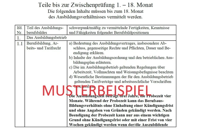 MFA Berichtsheft Ausbildungsnachweis Medizinische Fachangestellte * DIGITAL *