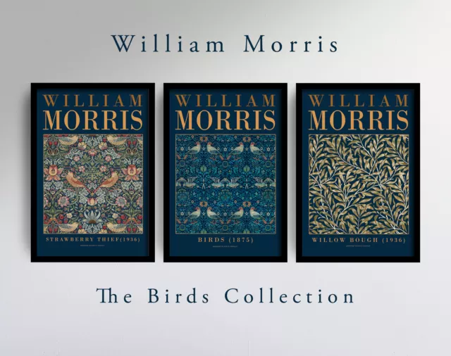 The Birds Collection, Set of 3 William Morris Art Prints, Gallery Posters