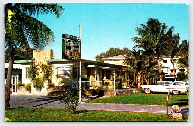 MIAMI FL-FLORIDA, PINE Terrace Motel, Cars, Palm Trees, Antique Vintage