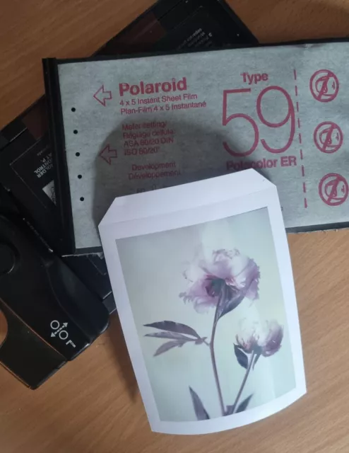 Polaroid T 59, expired since 10/2007 - still works! 3