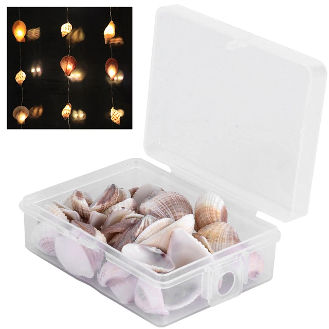 Decoración de caracoles portátil práctico caracol de mar conveniente firme para collares