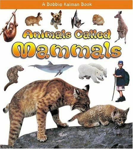 ANIMALS CALLED MAMMALS [What Kind of Animal Is It?] $5.48 - PicClick