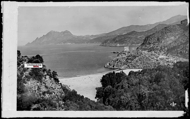 Plaque De Verre Ancienne – Négatif Photo 9x14 Cm – Vichy, Enfants Au Casino