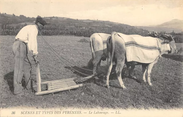 Cpa 65 Scenes Et Types Des Pyrenees Le Labourage / Agriculture