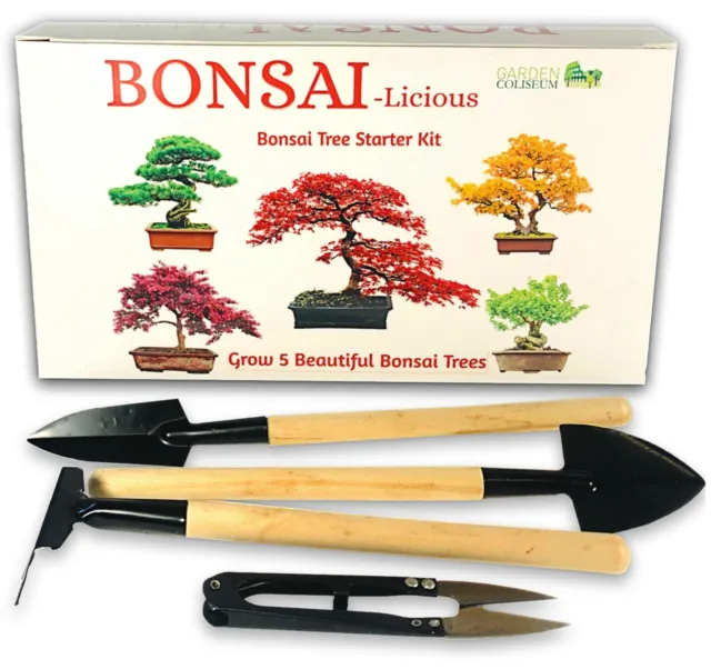 BONSAI TREE KIT. Grow 6 OF Your OWN Bonsai Trees from Seeds WITH BONSAI TOOL KIT