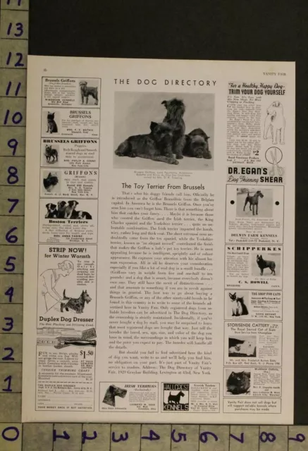 1933  Dog Canine Brussels Griffon Toy Terrier Breeder Photo Ad Ru35