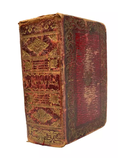 1821 The Devotional Diamond Pocket Bible - Gilt Leather - Illustrated