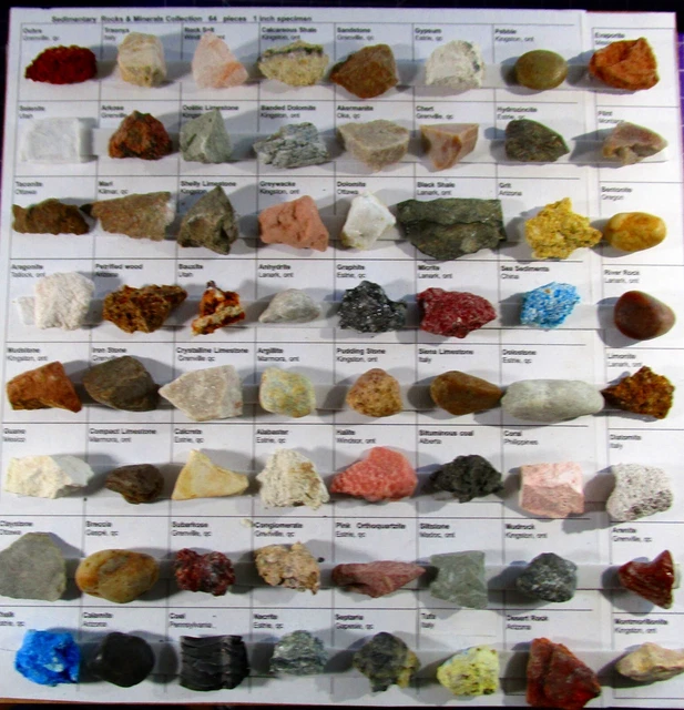 Mms Rocks 192 PIECES ROCK Collection Sedimentary Igneous Metamorphic 1 inch 25 ...
