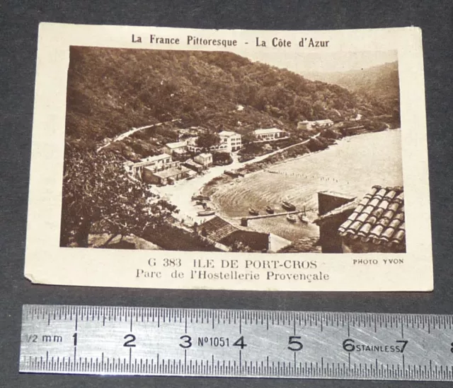 Chromo Photo 1932 Cow Qui Rit France Picturesque Cote D'azur Ile De Port-Cros