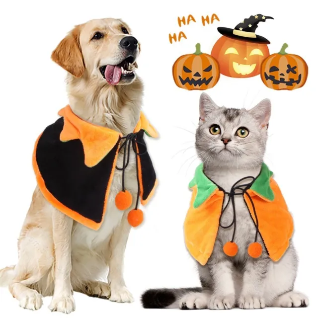 Stile britannico Costumi per cani di Halloween Mantello a doppia faccia  Cane