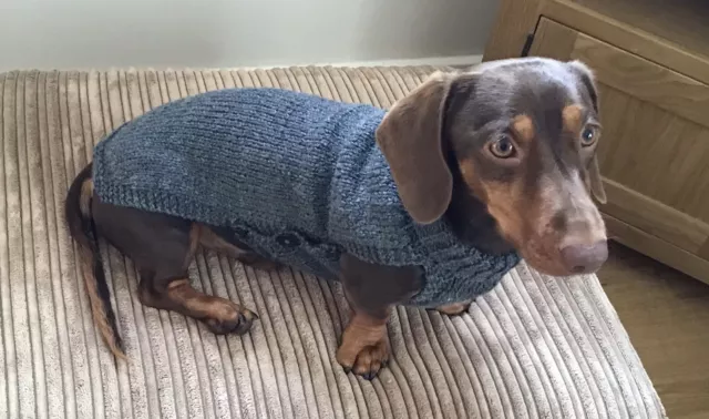 New  Aran handmade Dog Jumper for Miniature Dachshund Or Small Dog Aran Grey