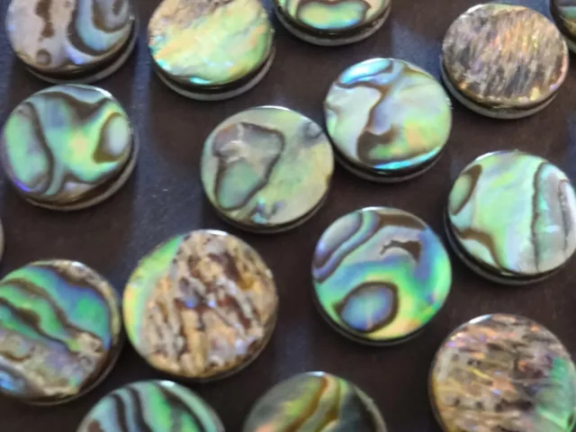 Natural Abalone Shell Cabochons Paua Seashell Cabs, Green Iridescent Round Shell