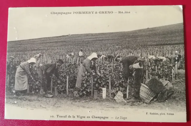 Reproduction of CPA - Work of the Vine in Champagne! Le Liage