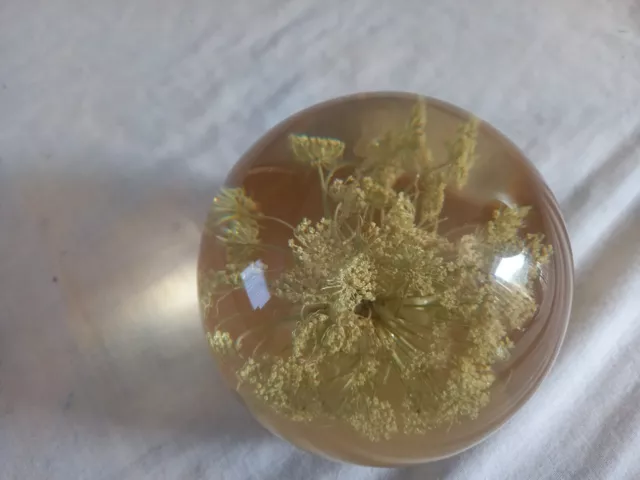 Flower Preservation Workshop Paperweight dried flowers lucite