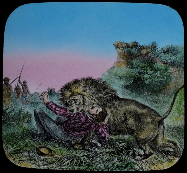 DAVID LIVINGSTONE AND THE LION C1890 ANTIQUE VICTORIAN Magic Lantern Slide