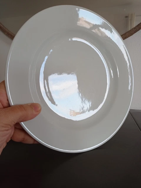 2 Assiettes En Porcelaine De Sarreguemines