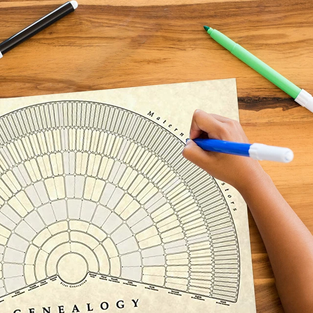 FAMILY TREE CHART Decorative Genealogy Chart Poster For Living Room £8. ...
