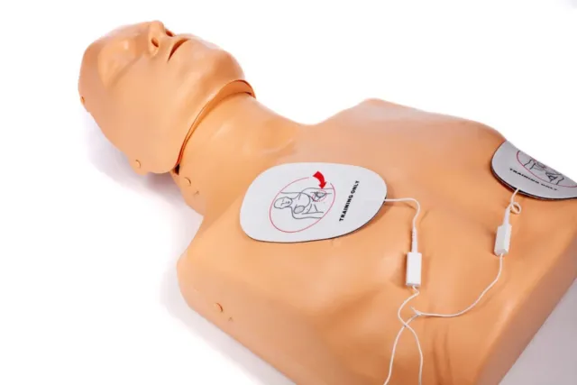 PRACTI-MAN BASIC Reanimationspuppe HLW Puppe Phantom AED Training CPR Phantom