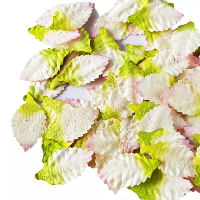 Mulberry Paper Foliage Leaves Dried flowers DIY Scrapbooking Supply Lot  50Pc
