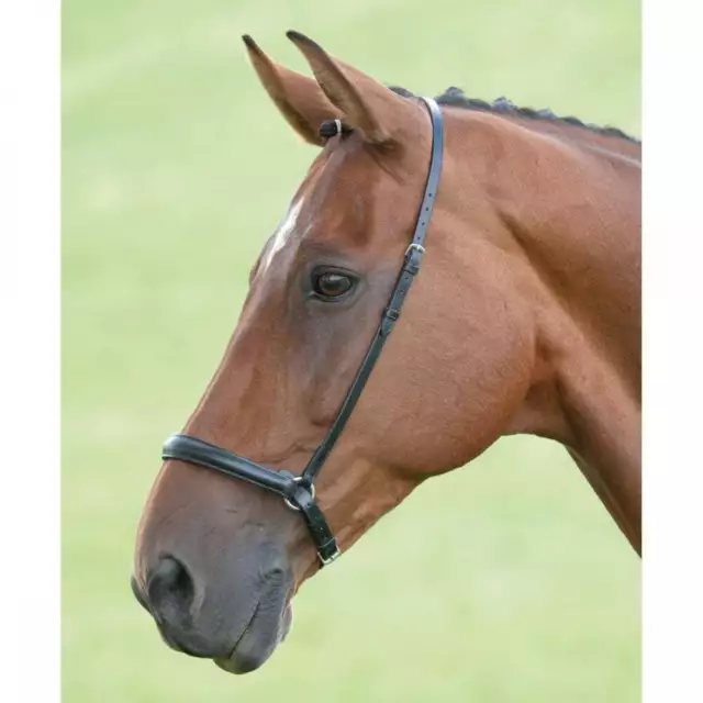 Shires Blenheim Drop Noseband for Horses | Black or Brown | All Sizes