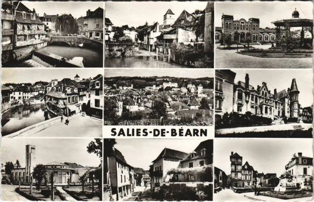 CPA AK Salies de Bearn Souvenir FRANCE (1109775)