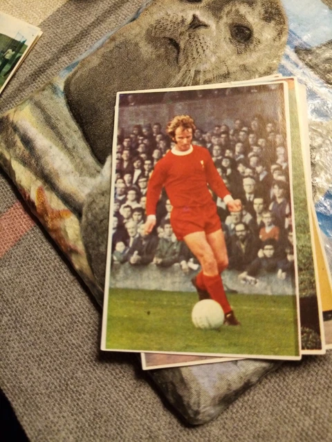 Xm38 Card Sticker Soccer Stars Football No 159 Alec Lindsay