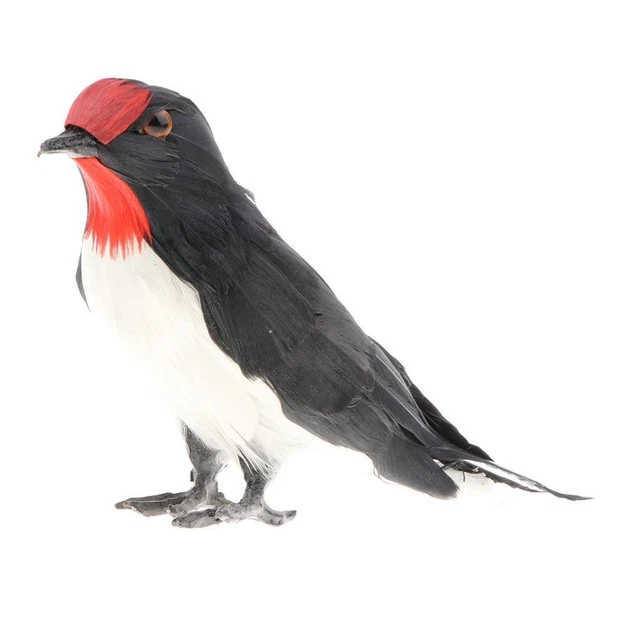 Swallow Statue, Simulation Bird Animal Model Toy for Kids, Educational Toy,