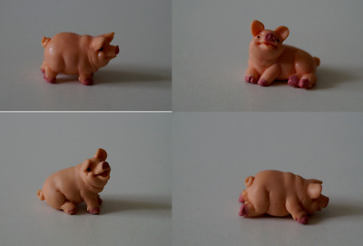 Schleich Schwein Schweinchen Schweine pig Die Kleinen cute creatures zur Auswahl 