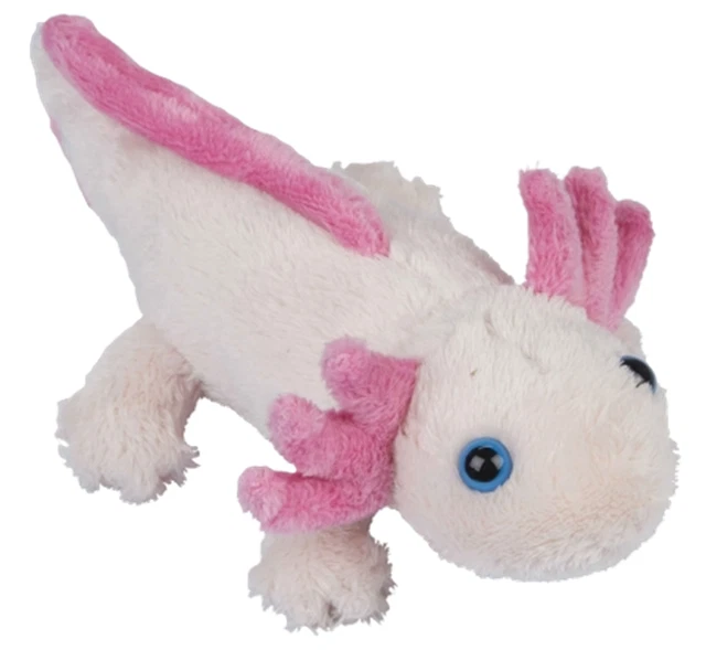NUOVO CHIIKAWA MINISO limited lontra marina rakko peluche giocattolo