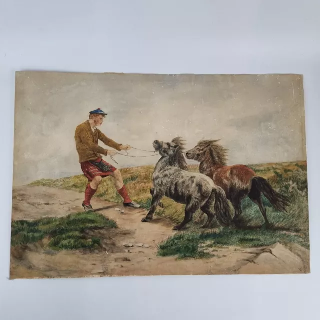 Antique 19th Century Watercolour Study Man With Two Highland Ponies Signed