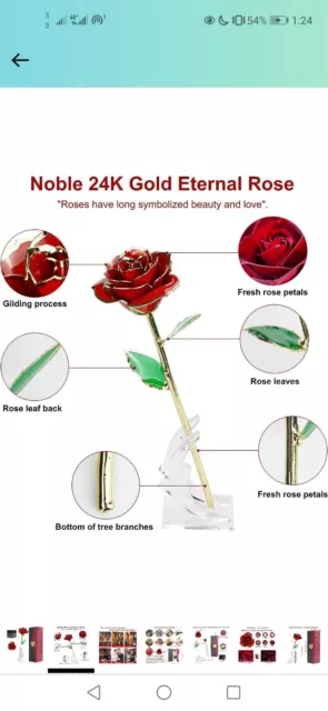 LAMTOR 24K Gold Eternal Rose with Stand,Long Stem Dipped Real Rose Flower...