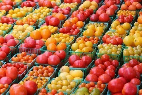 100 Semi Di Pomodoro Gialli E Rossi A Grappolo + Omaggio