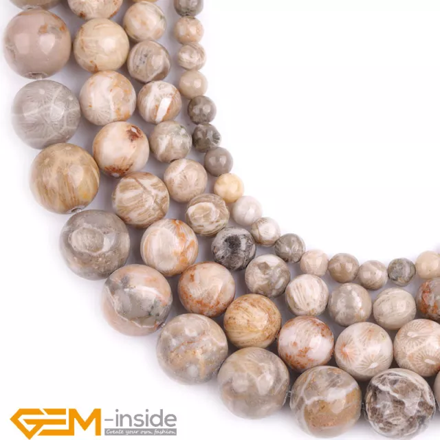 Natural Gray Fossil Coral Jasper Gemstone Round Loose Beads 4mm-10mm Strand15"