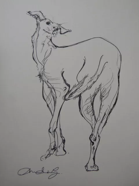 Original hand drawn sketch black pen & ink drawing of a dog on paper