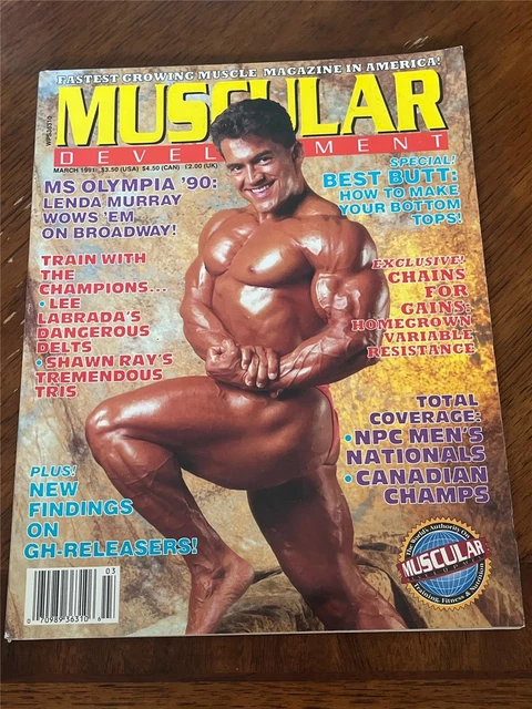 MUSCULAR DEVELOPMENT BODYBUILDING muscle magazine LEE LABRADA 3-91
