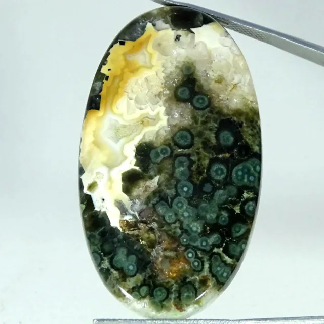 Natural Ocean Jasper Gemstone 64.00 Cts Loose Oval Cabochon 27X49X5MM