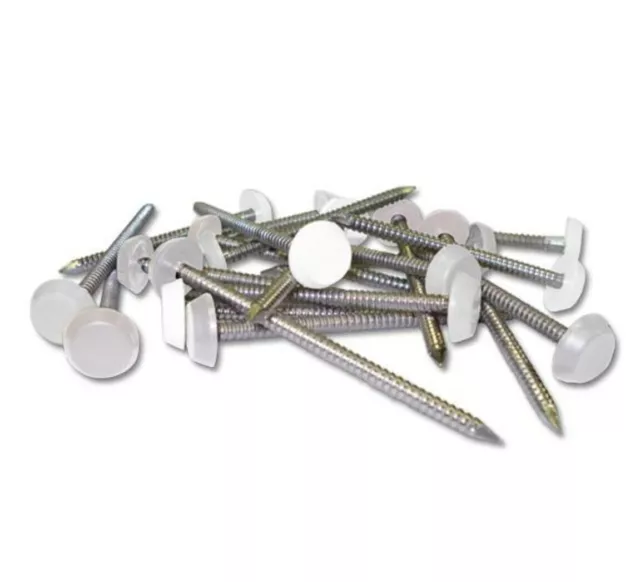Poly Pins 25mm White Plastic Headed Nails 80 Quantity Fascia nails