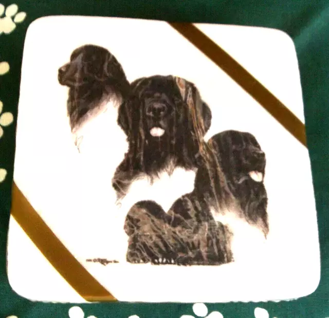 Flat Coated Retriever Drink Coasters Set