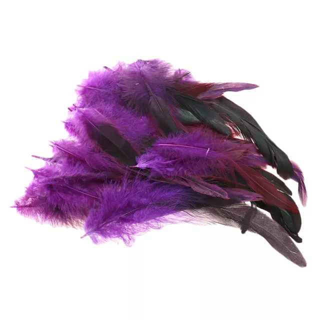 50pcs Beautiful Rooster Feathers 12-18cm  for Costumes & Hats ()