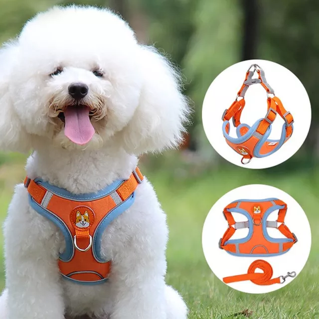 Adjustable Dog Harness No Pull Cute Puppy Cat Reflective Walking Leash -wf