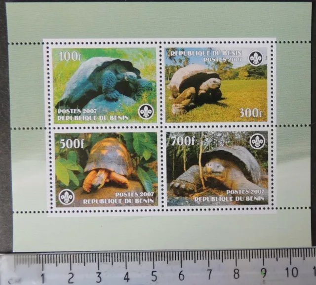 2007 tortoises reptiles scouts m/sheet MNH