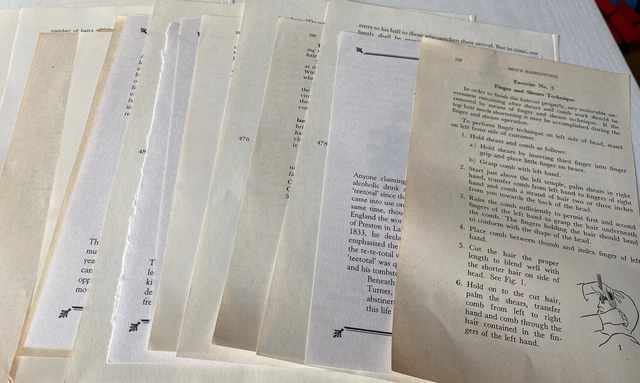 Lote de páginas de libros de colección - ideal para libros de recortes, elaboración y diario basura